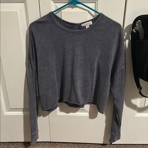 Purple Cropped Relaxed Long Sleeve